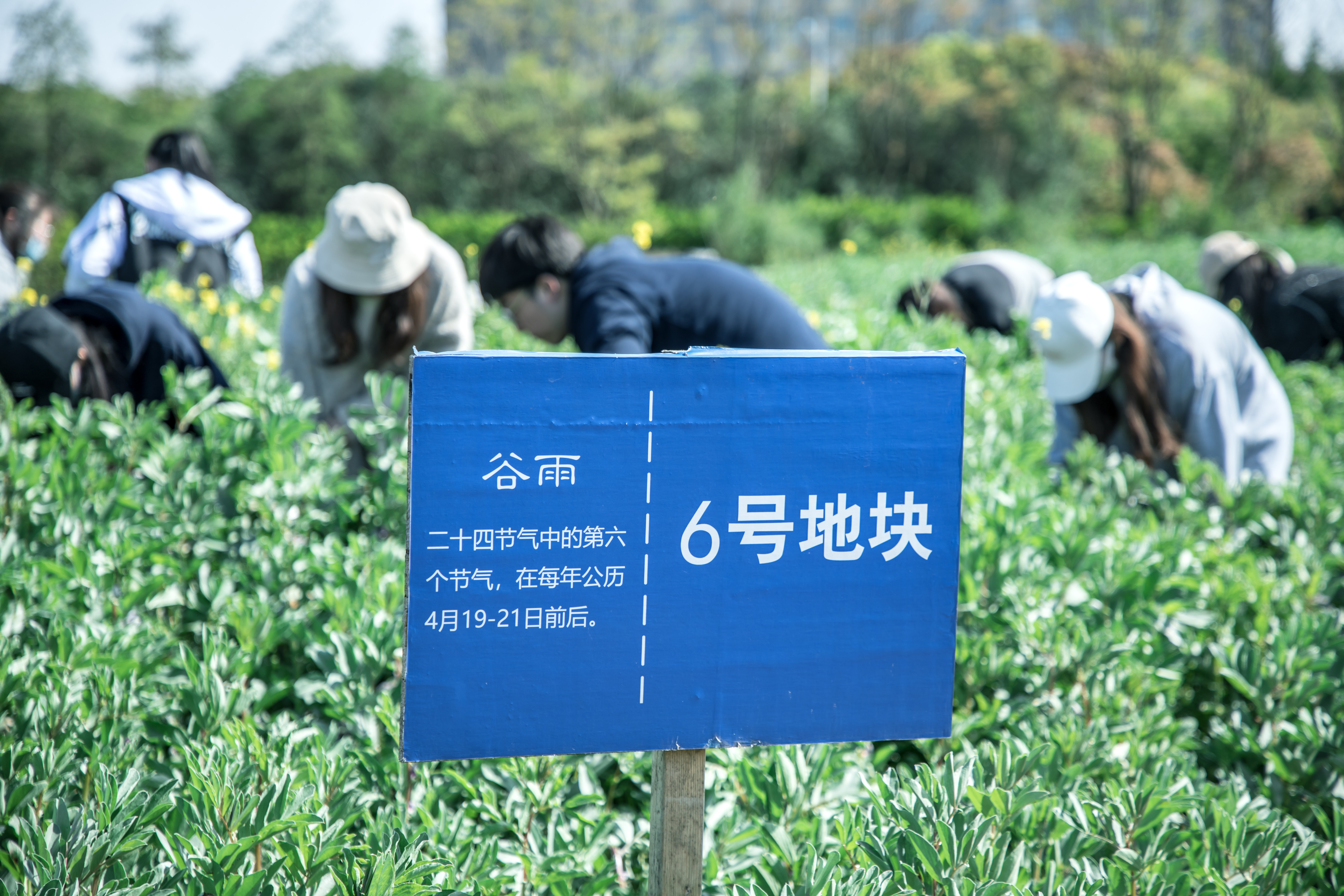 劳动教育基地